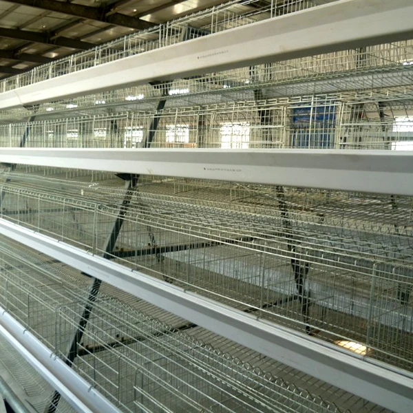 chicken cage (3)