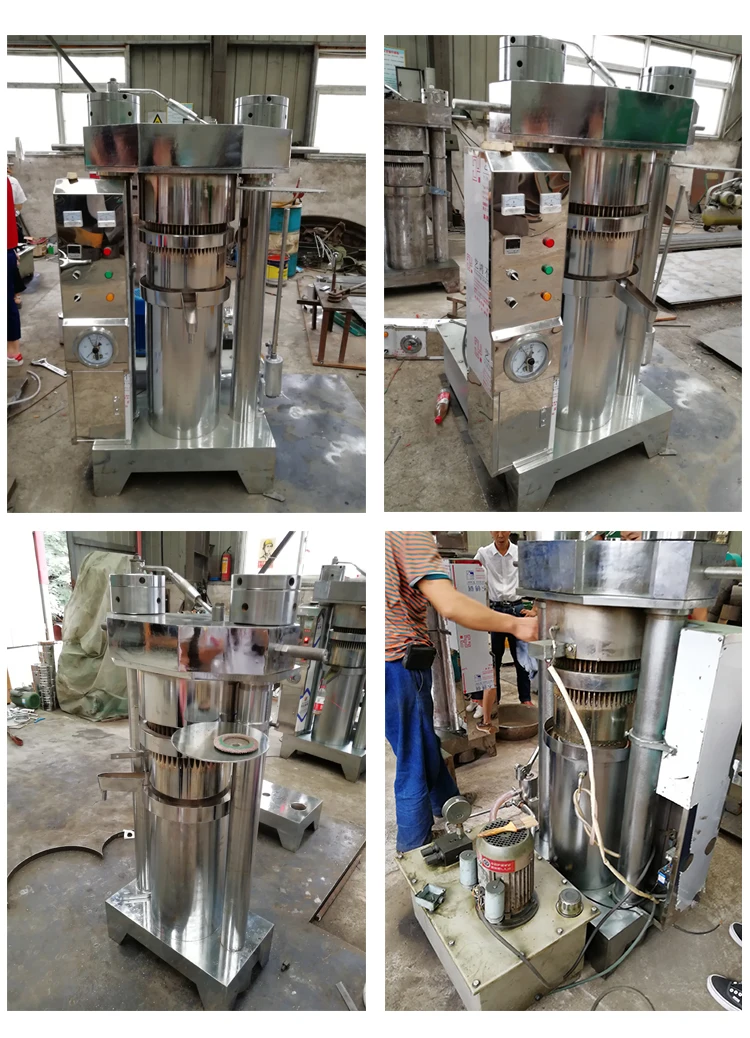 hydraulic sesame oil press machine cold press hydraulic oil press machine