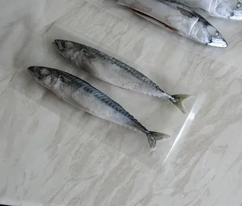 vacuum seal bags for food photo