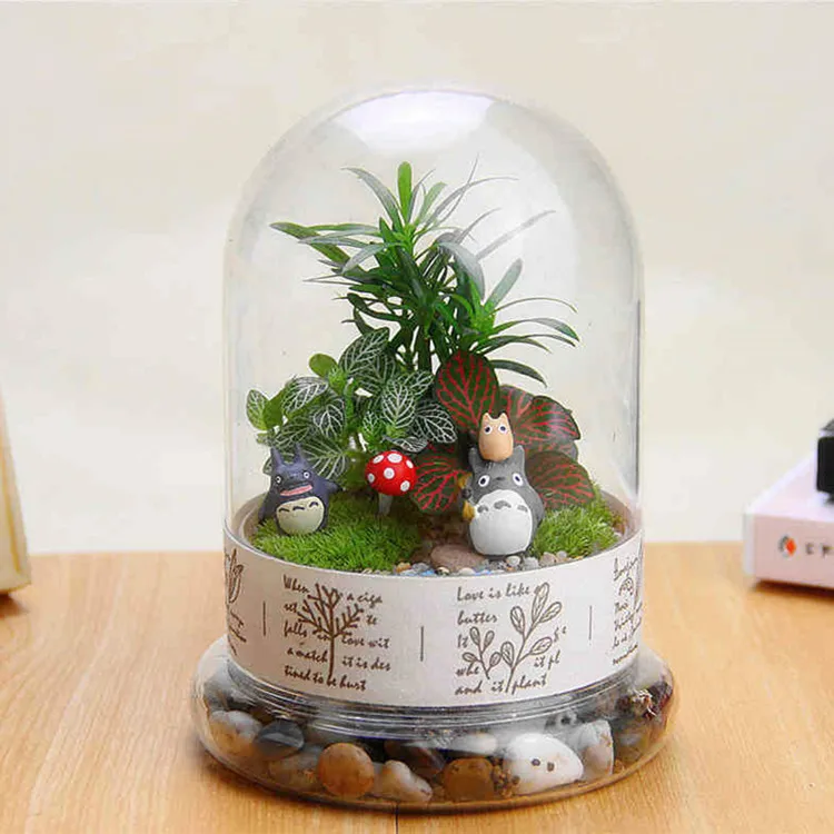 

wholesale terrarium glass, air plant holder with base, Transparent