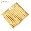 Free Sample High Quality Bee Queen Rearing Honey Bee For Beekeeper
