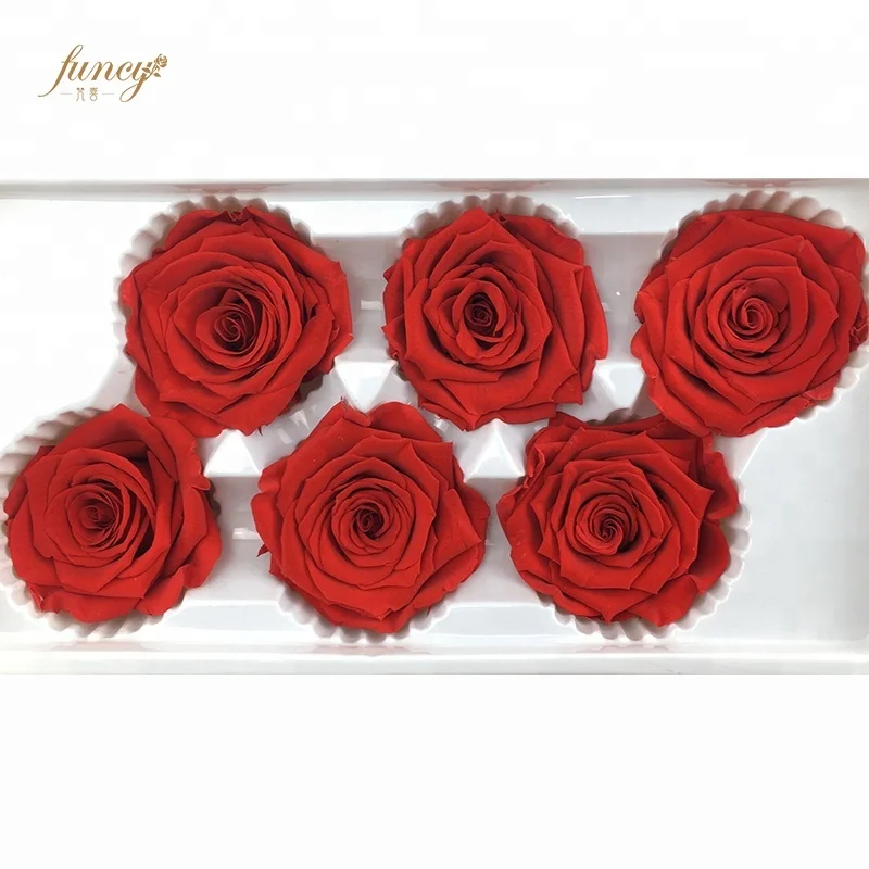 

Photo Flower Eternal Preserved Rose for Wall Decoration, More than 50 colors