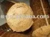 briquettes/bio coal