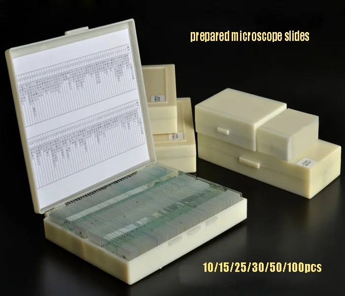 Ящик 25 30 25. Glass Slide Microscope. Specimen Slides.