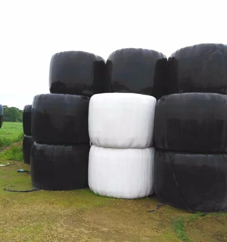 QQ20160628152448_conew1