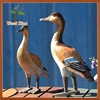 Wholesale Paulownia Wood Carving Pure Hand Arts And Crafts Desktop Decoration Furnishing Articles Painted Wooden Duck