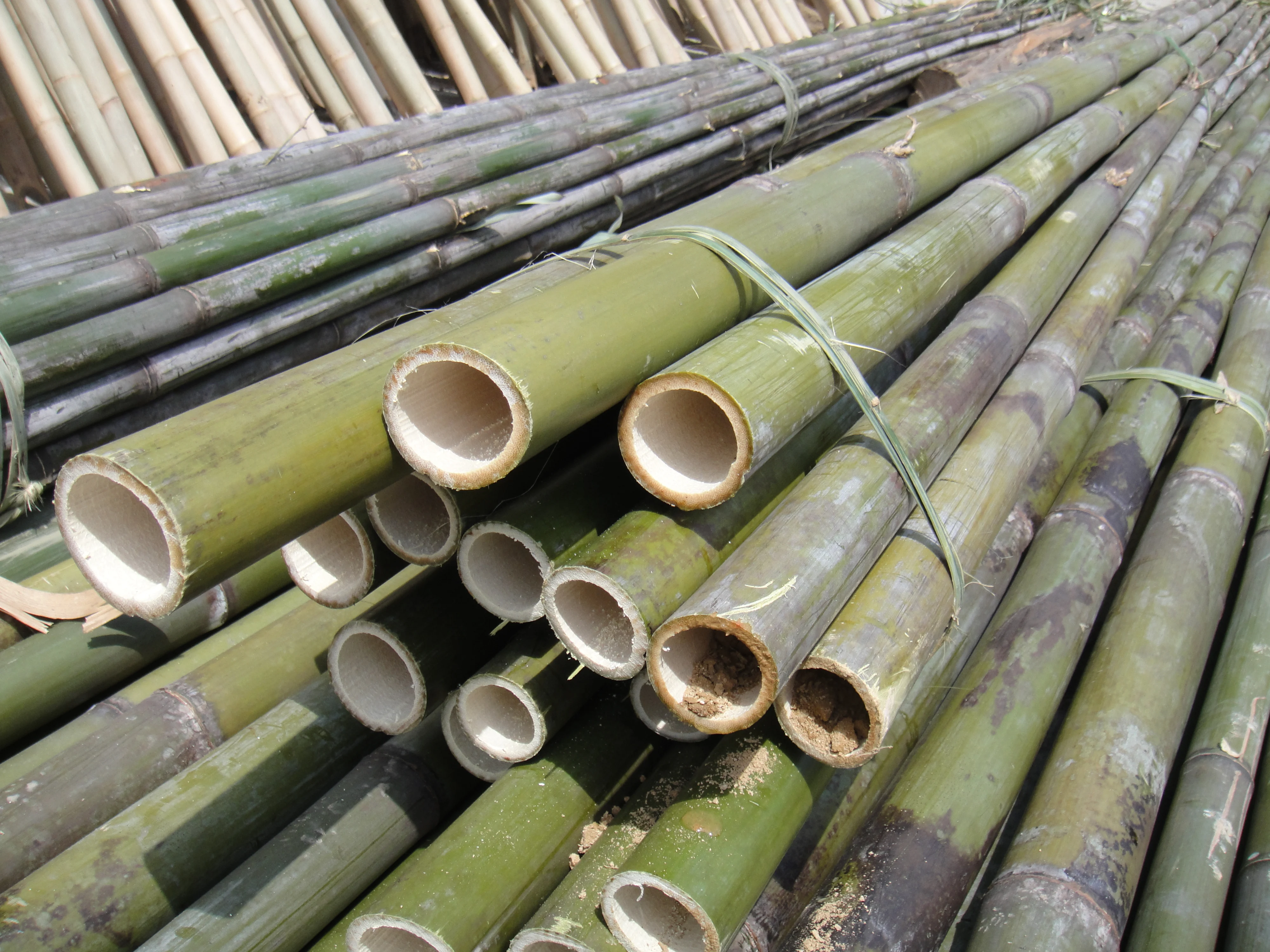
Bamboo Raw Materials / Bamboo pole 