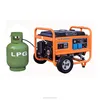 Hot sales ! 2kw-5kw lpg generator set with key start CE GS approved