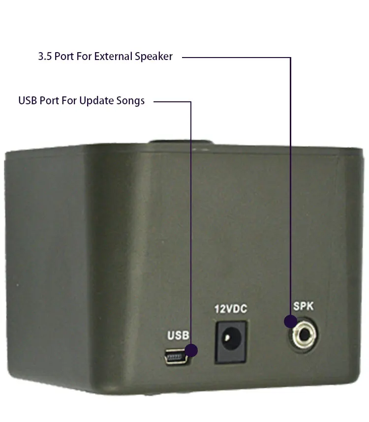 CSW-79820160619 (4).jpg