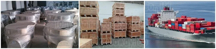 Sago starch factory/sago starch plant/sago starch machinery