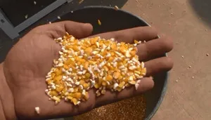 corn rice peeler 1 .jpg