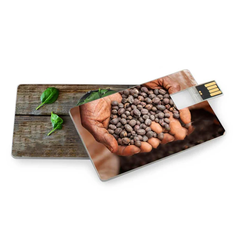 

Bulk High Quality Plastic Logo Credit Card Usb Flash Drive 8GB