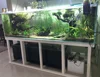 Custom Made Large Size Ultra and Normal Clear Glass Aquarium Fish Tank