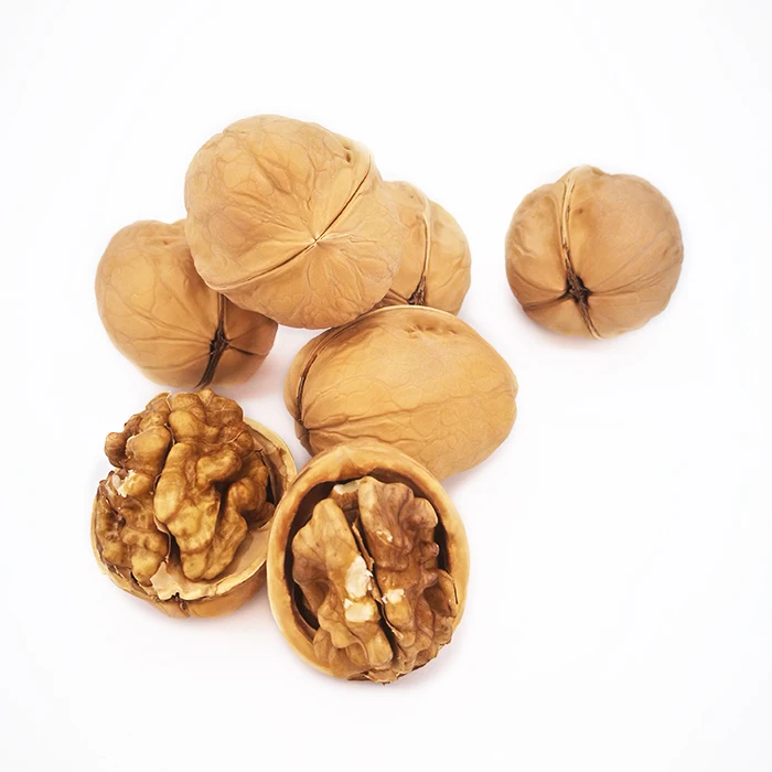 Walnuts Lh Without Shell With High Protein 18mm24mm Xinjiang Walnut