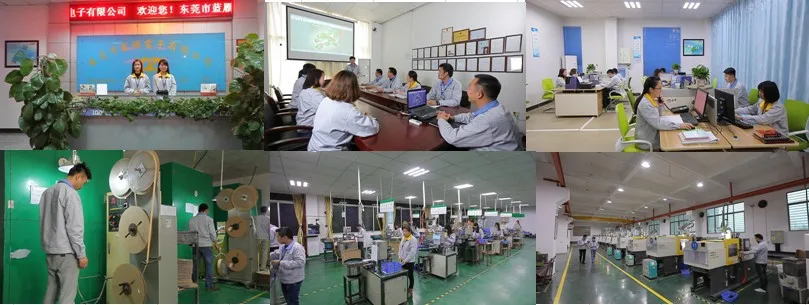 LDZY Electronics.jpg