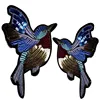 Sequins animal patch 11cm birds deal with it iron on patches for clothing 3d t shirt mens, t shirt Women, baby girl clothes P848