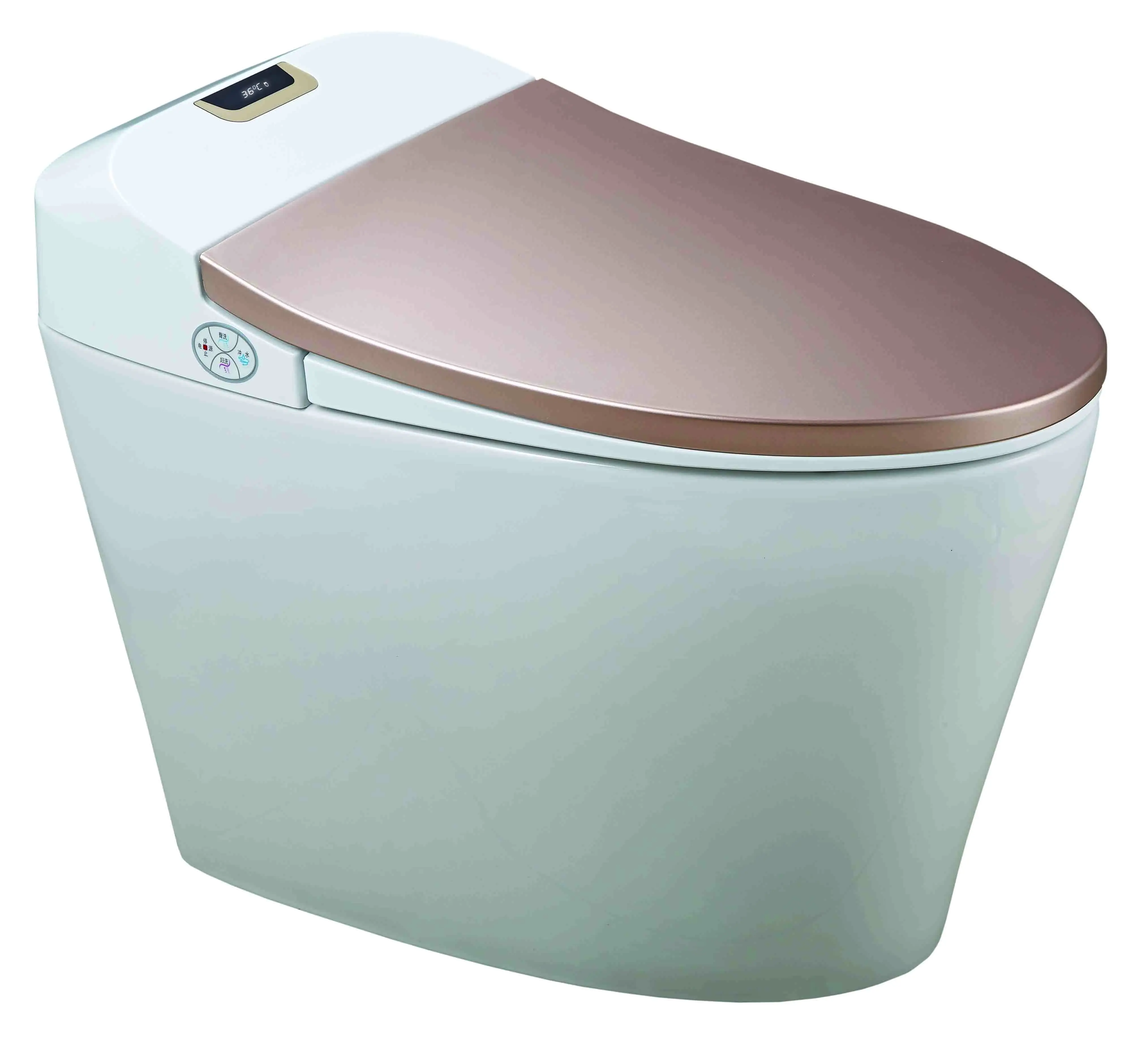 Remote Operated Integrated Electric Smart Toilet