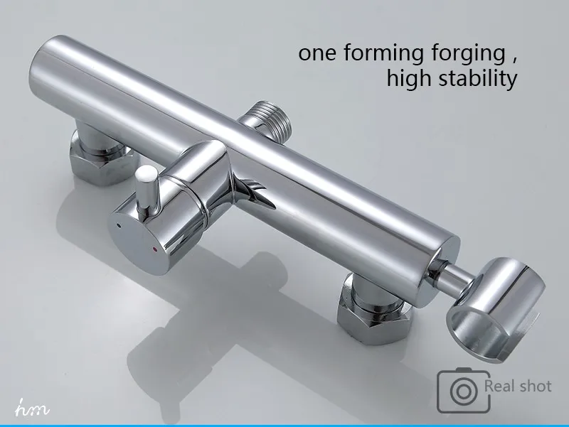 Wall Mounted Chrome Finish Toilet Jet Spray/hygienic Toilet Spray