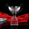 2019 Fashion Crystal Trophy Cup for Souvenir F1-C04A