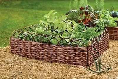 willow_border_panels