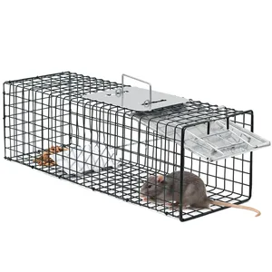 Image of Raccoons Stray Cats Opossums Groundhogs Armadillos Rabbit Living Animal Trap Cage