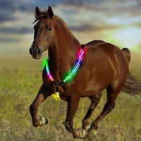 

High quality led horse leash with best price for horse using