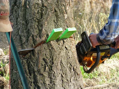 chainsaw splitting