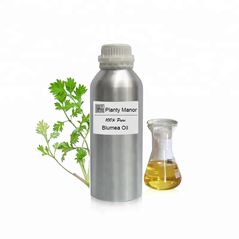 

blumea oil essential oils safe for maternal and neonatal