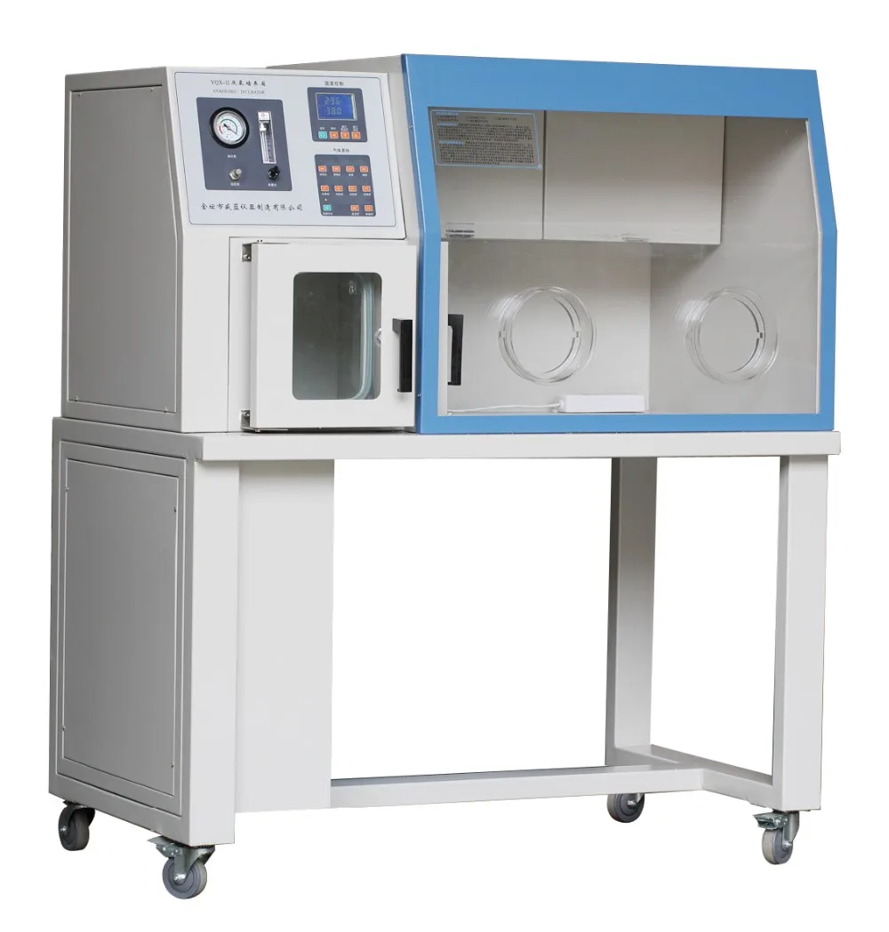 Laboratory Anaerobic Incubator Buy Anaerobic Incubator,Biological Incubator,Laboratory