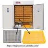 Using gas,electricity two heating method setting 3168 egg incubator hatching machine