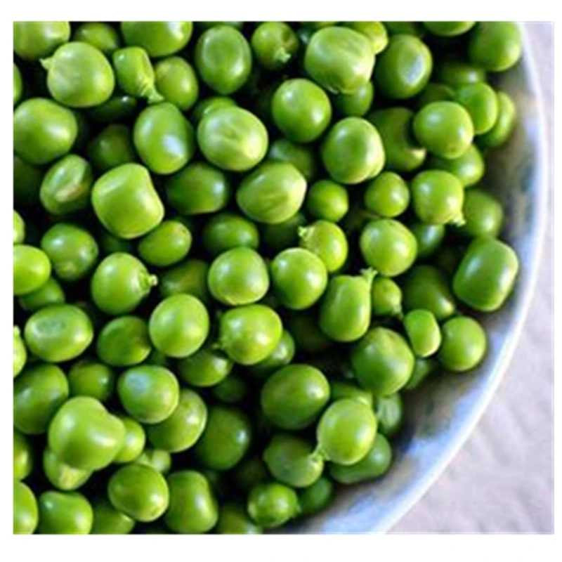 
Best selling IQF frozen green peas 