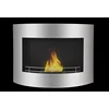 Indoor simple style real flame easy installation wall mounted bio fireplace (FP-046W)