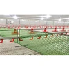 Factory Direct Supplies Automatic Chicken Drinker And Feeder For Poultry Broiler And Egg Laying Hens