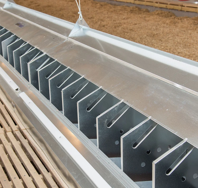 Galvanized Chicken Poultry Cages Breeder Chicken Nest Box For Sale Buy Chicken Nest Box