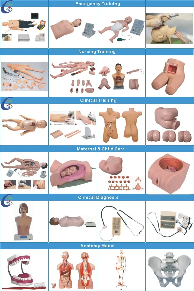 manikin simulation model.JPG
