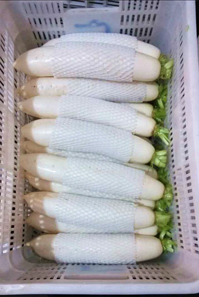 white radish2