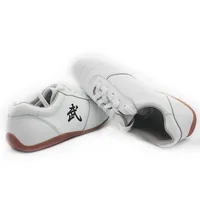 

Chinese Wushu Kungfu Martial Arts Shoes Taichi Shoes for Men Women