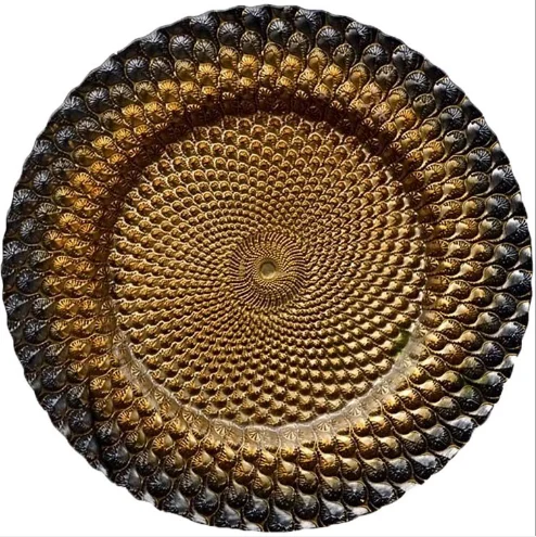 Guangzhou Shenzhen tableware clear glass chargers with gold beaded edge