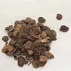 hainan hua li Yellow Pear Wood dalbergia odorifera seeds Cocobolo Wood Seeds