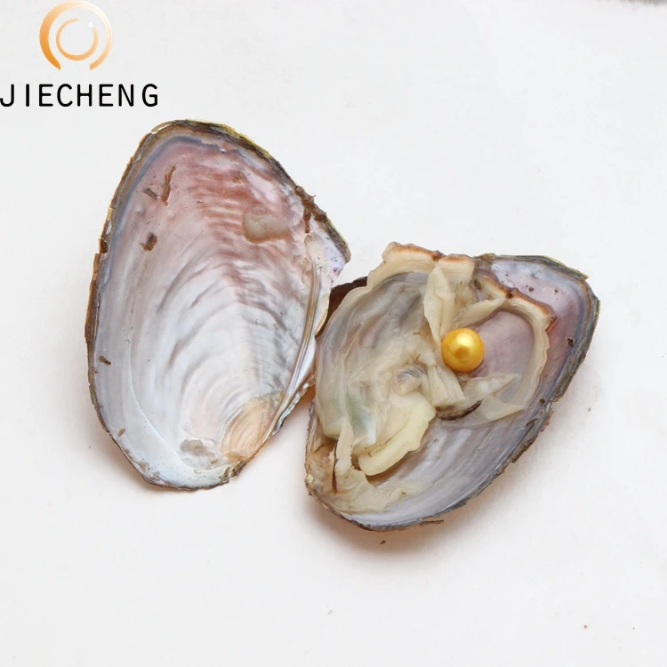 

Vacuum Packaging AAA Natural Freshwater Pearl Oyster  Wholesale Round Dyed Pearl Oyster Shells, 35 style pearls color