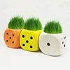 Ceramic dice originality novel plant potted gift and furnishing articles