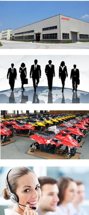 electric buggy for adults