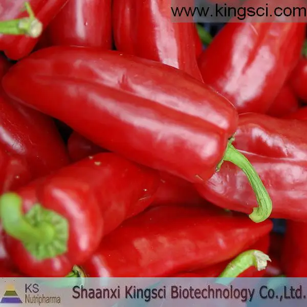 
98% Capsaicin Red Chilli Extract 