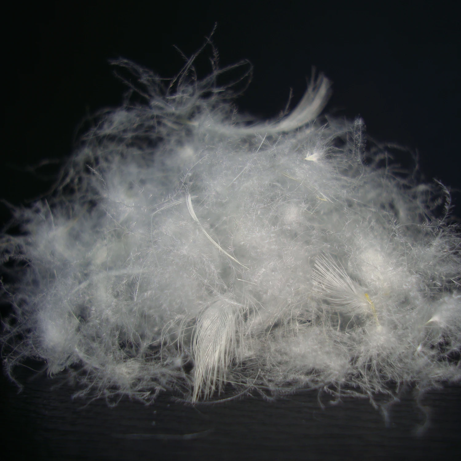 
Washed White Duck Down 70% 