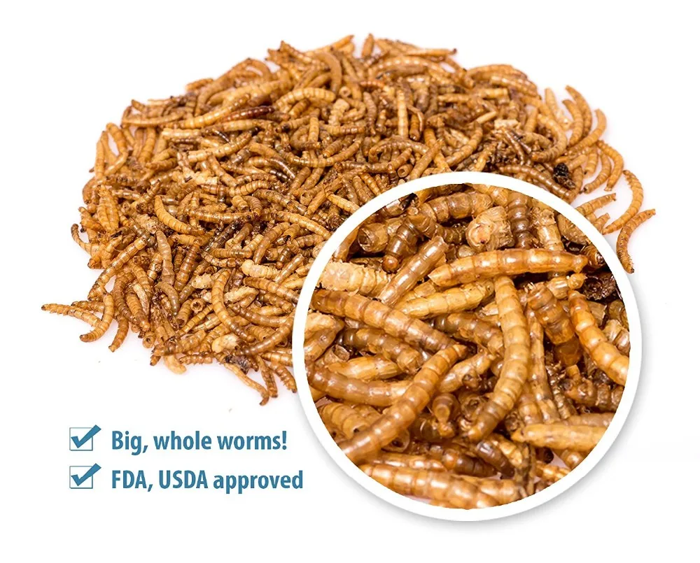 High Protein Mealworms Black Soldier Flies Bird Food Buy Bird Food,Pet Food,Dried Mealworm