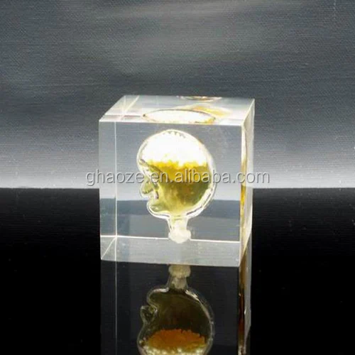 Acrylic Medical gifts (38).jpg