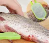 helpful kitchen accessories plastic & stainless steel fish scale remover