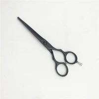 

Beauty Hair Professional Hair Cutting Barber Scissors