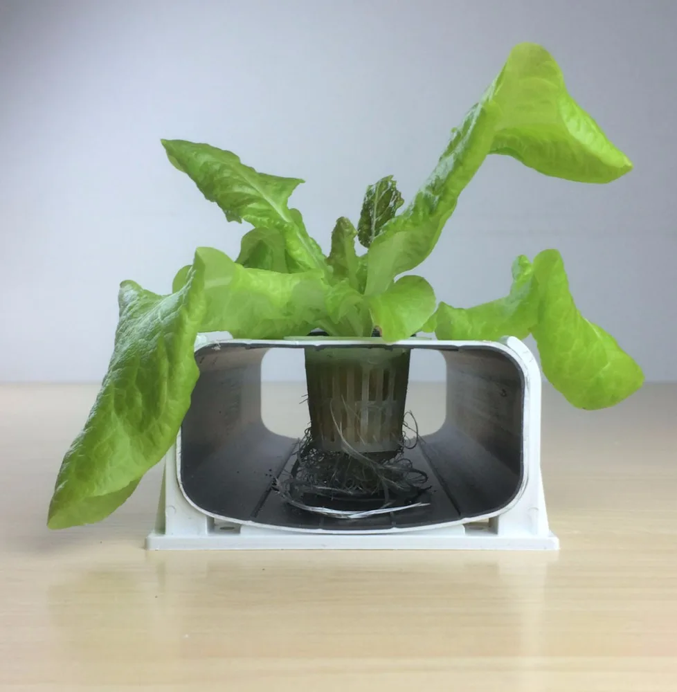 Venta al por mayor sistema hidropónico nft-Compre online los mejores