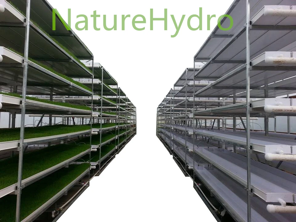 Hydroponic.jpg